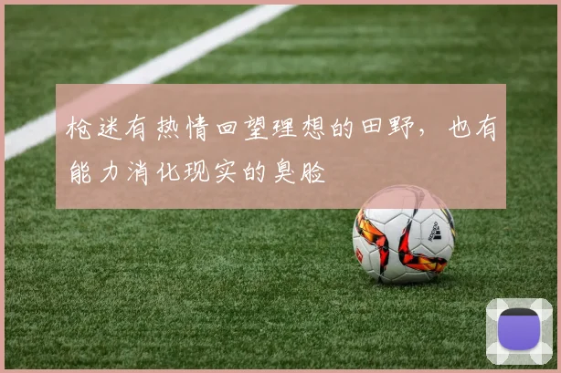 枪迷有热情回望理想的田野，也有能力消化现实的臭脸