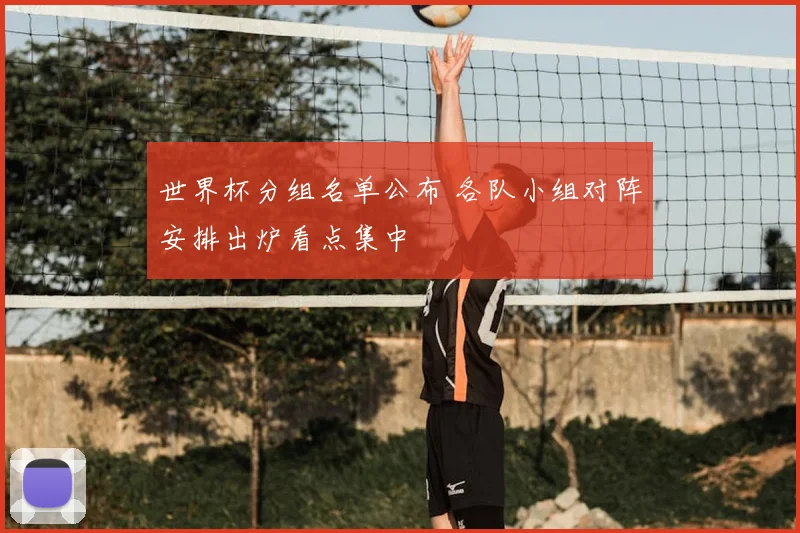 世界杯分组名单公布 各队小组对阵安排出炉看点集中