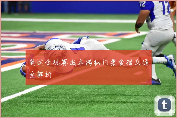 奥运会观赛成本揭秘门票食宿交通全解析