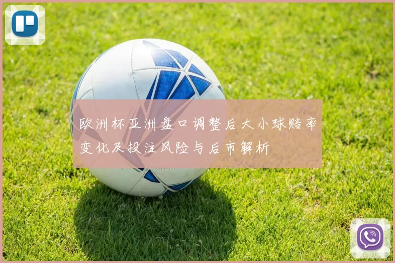 欧洲杯亚洲盘口调整后大小球赔率变化及投注风险与后市解析